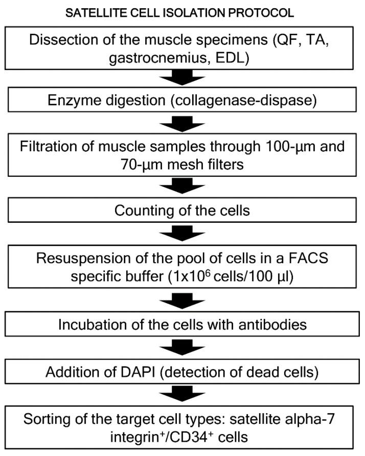 https://cdn.ncbi.nlm.nih.gov/pmc/blobs/c316/7353305/0165e780f353/nutrients-12-01870-g002.jpg