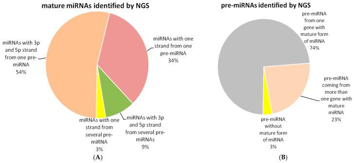 https://cdn.ncbi.nlm.nih.gov/pmc/blobs/c319/12383367/f024b909d410/biomedicines-13-01865-g001.jpg
