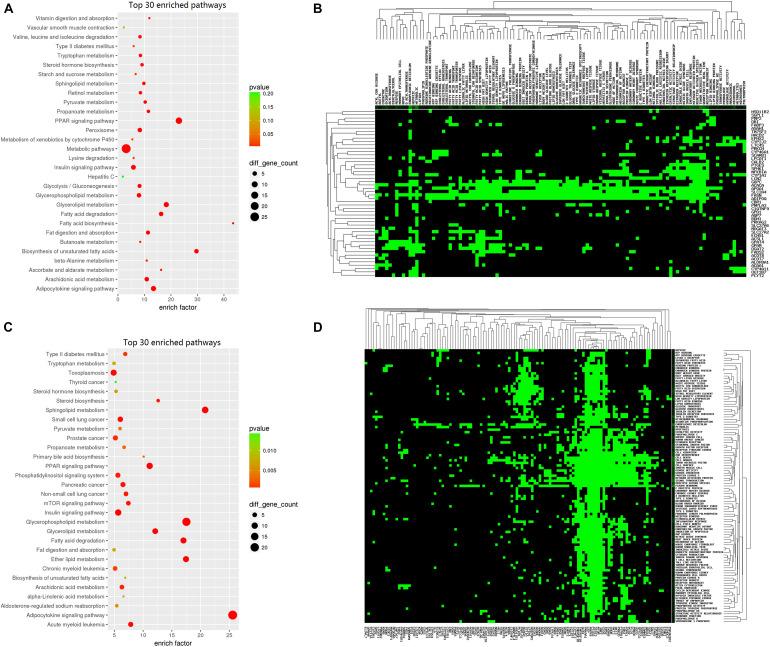 https://cdn.ncbi.nlm.nih.gov/pmc/blobs/c31b/8060577/a2c81e9ebdf4/fgene-12-639030-g007.jpg