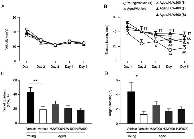https://cdn.ncbi.nlm.nih.gov/pmc/blobs/c323/11938412/72ca3aa70aa7/mmr-31-05-13496-g02.jpg