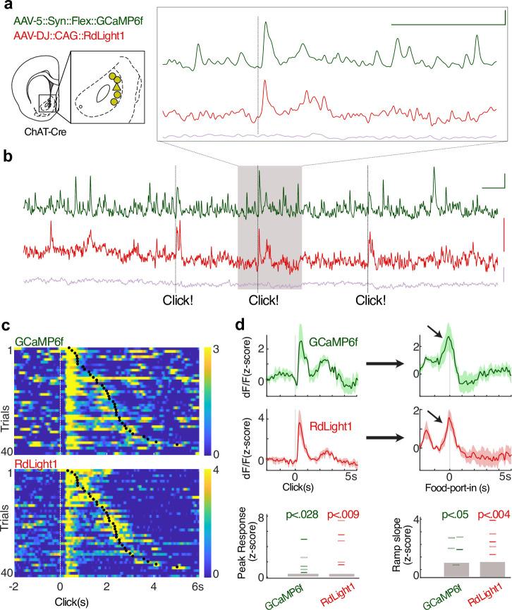 https://cdn.ncbi.nlm.nih.gov/pmc/blobs/c32d/10259987/0eb5e9ec3275/elife-85011-fig2.jpg