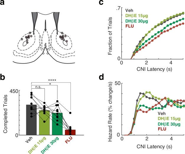 https://cdn.ncbi.nlm.nih.gov/pmc/blobs/c32d/10259987/57a65d4c009b/elife-85011-fig4.jpg