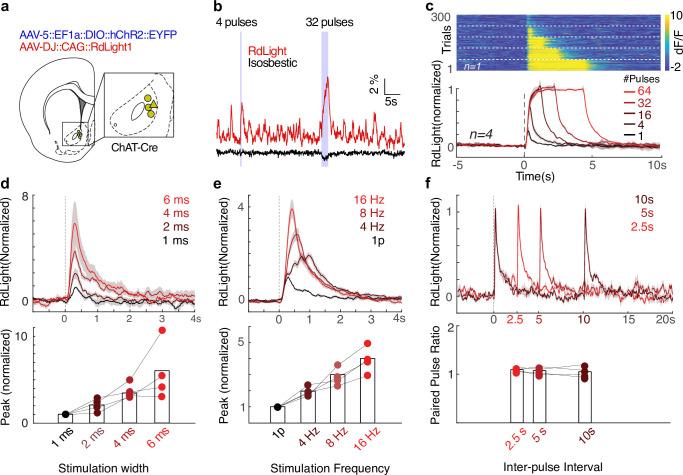 https://cdn.ncbi.nlm.nih.gov/pmc/blobs/c32d/10259987/80e974874dcb/elife-85011-fig1.jpg