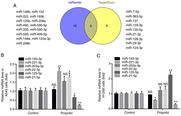 https://cdn.ncbi.nlm.nih.gov/pmc/blobs/c339/7336515/792505c8d4de/OR-44-02-0487-g03.jpg