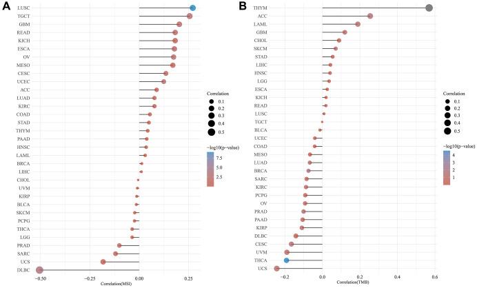 https://cdn.ncbi.nlm.nih.gov/pmc/blobs/c33d/10866424/17c574d28428/aging-16-205440-g002.jpg