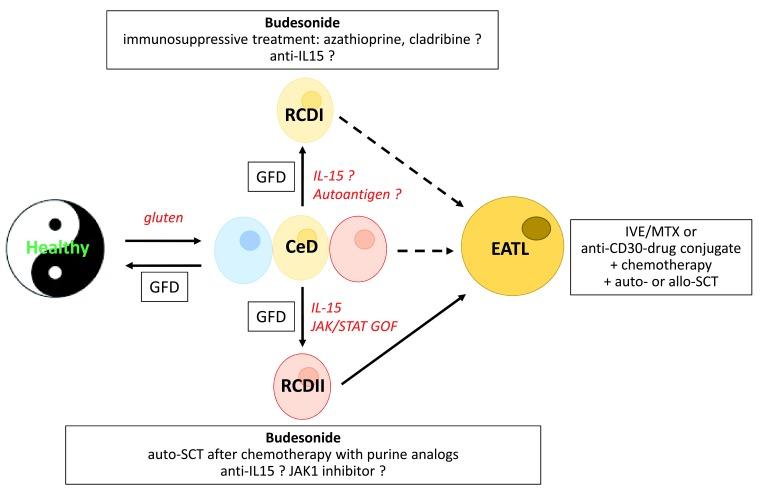 https://cdn.ncbi.nlm.nih.gov/pmc/blobs/c346/6600866/43290bf4dc80/f1000research-8-20479-g0002.jpg