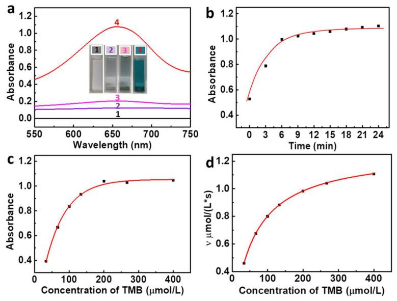 https://cdn.ncbi.nlm.nih.gov/pmc/blobs/c34c/9458239/8cb248613481/nanomaterials-12-02990-g003.jpg