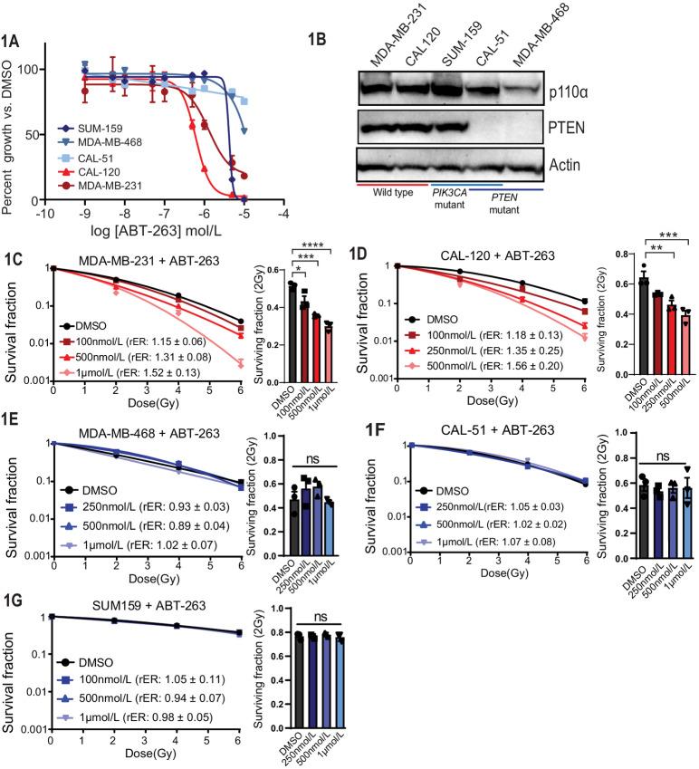 https://cdn.ncbi.nlm.nih.gov/pmc/blobs/c350/10010342/9c2696e1cc39/crc-22-0024_fig1.jpg