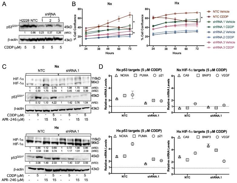 https://cdn.ncbi.nlm.nih.gov/pmc/blobs/c36e/5923381/096e3c7e76cf/cancers-10-00126-g004.jpg