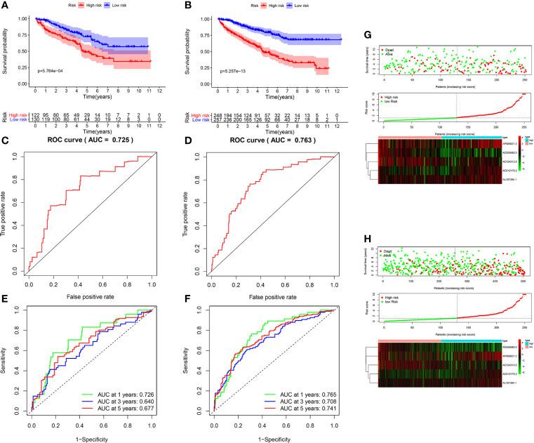 https://cdn.ncbi.nlm.nih.gov/pmc/blobs/c38a/8187870/0eb3fb48d242/fonc-11-663263-g003.jpg