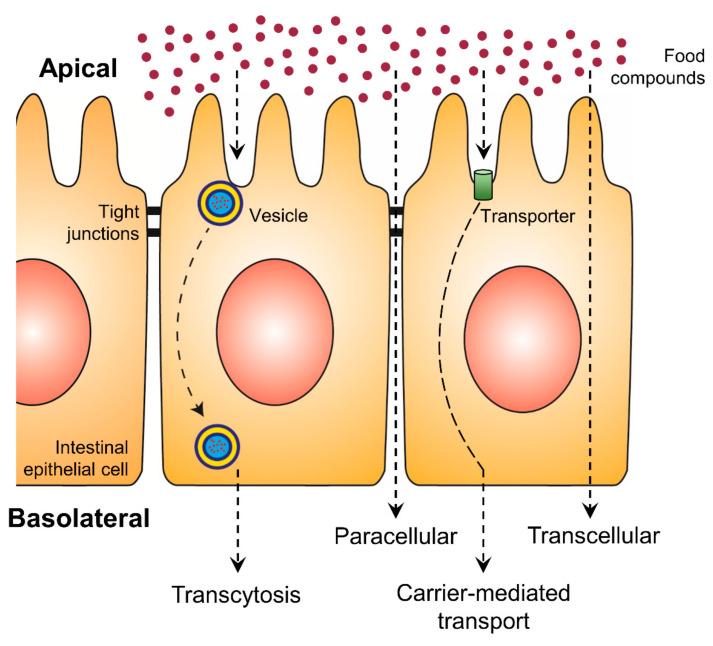 https://cdn.ncbi.nlm.nih.gov/pmc/blobs/c38b/7731217/26e5271205c7/molecules-25-05545-g002.jpg