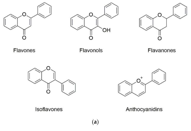 https://cdn.ncbi.nlm.nih.gov/pmc/blobs/c38b/7731217/40c3ced83869/molecules-25-05545-g001a.jpg