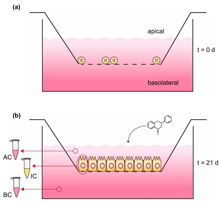 https://cdn.ncbi.nlm.nih.gov/pmc/blobs/c38b/7731217/972800f31c5d/molecules-25-05545-g003.jpg