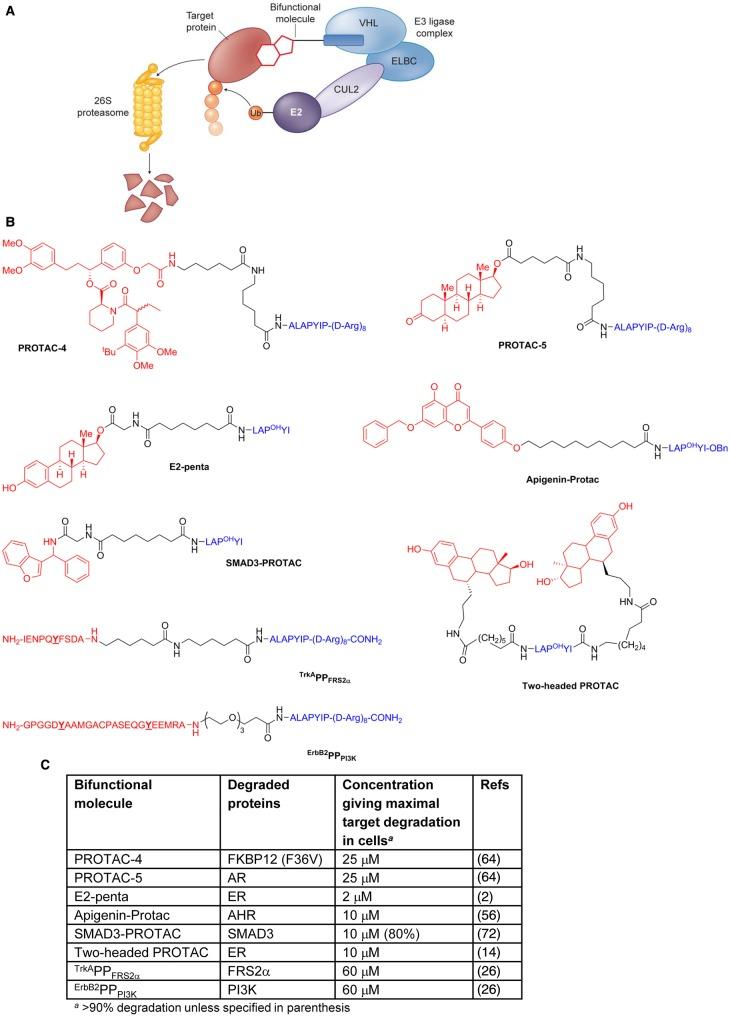 https://cdn.ncbi.nlm.nih.gov/pmc/blobs/c38f/5350610/2497c263b6a2/BCJ-2016-0762C.04.jpg