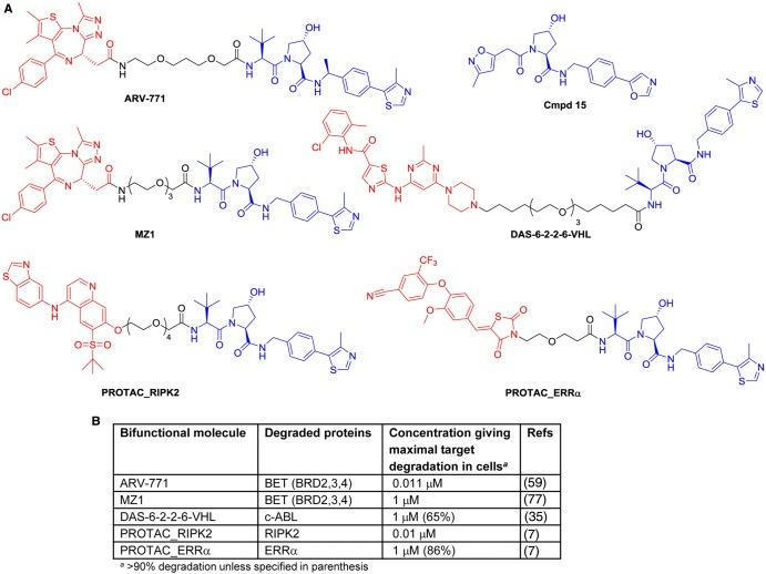 https://cdn.ncbi.nlm.nih.gov/pmc/blobs/c38f/5350610/3f82d6aeeb00/BCJ-2016-0762C.05.jpg
