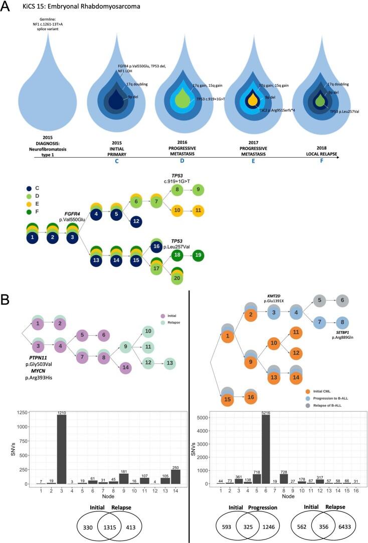 https://cdn.ncbi.nlm.nih.gov/pmc/blobs/c397/9970873/f16b3517c468/43018_2022_474_Fig11_ESM.jpg