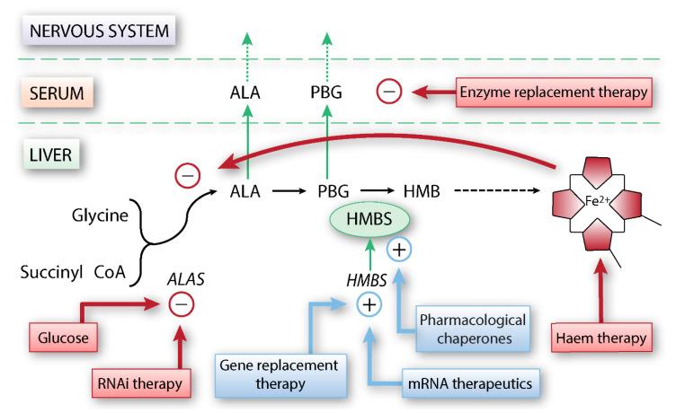 https://cdn.ncbi.nlm.nih.gov/pmc/blobs/c399/7827610/821a3ef7de92/ijms-22-00675-g002.jpg