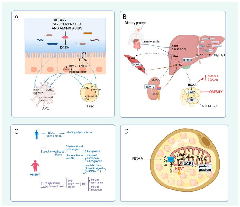 https://cdn.ncbi.nlm.nih.gov/pmc/blobs/c39f/10421169/5f6a31ce827a/nutrients-15-03378-g004.jpg