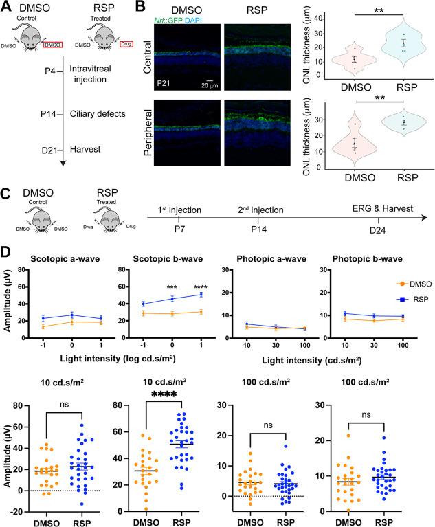 https://cdn.ncbi.nlm.nih.gov/pmc/blobs/c3a3/10121224/4ddaeac701fb/elife-83205-fig6.jpg