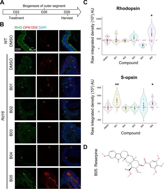 https://cdn.ncbi.nlm.nih.gov/pmc/blobs/c3a3/10121224/ef84b31e0ddf/elife-83205-fig2.jpg