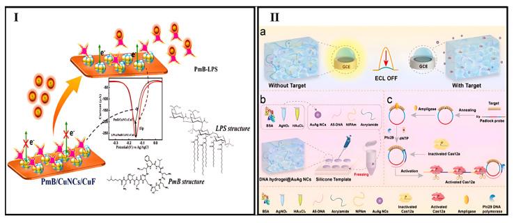 https://cdn.ncbi.nlm.nih.gov/pmc/blobs/c3ab/12293134/84f7434374cc/biosensors-15-00460-g004.jpg