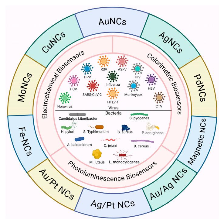 https://cdn.ncbi.nlm.nih.gov/pmc/blobs/c3ab/12293134/8946372cb3b8/biosensors-15-00460-sch001.jpg