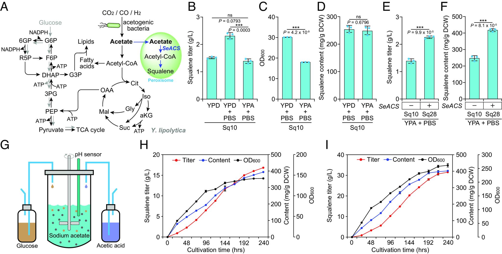 https://cdn.ncbi.nlm.nih.gov/pmc/blobs/c3b5/10835042/ba3045df6a07/pnas.2314798121fig04.jpg