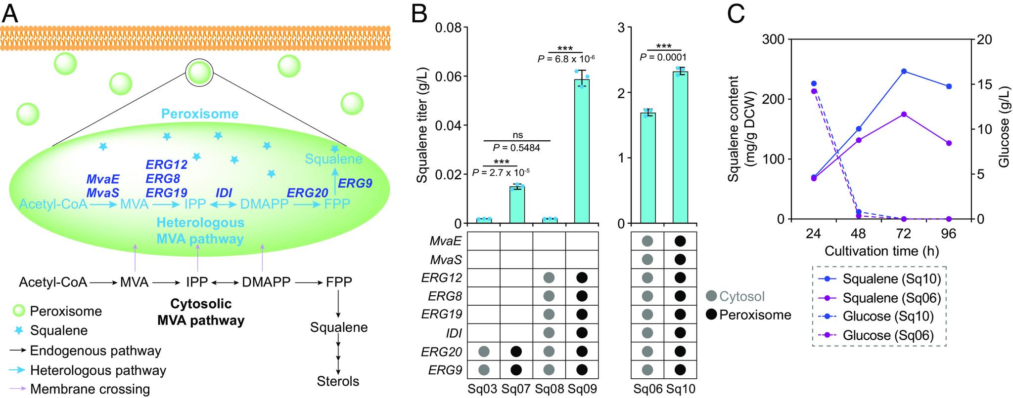 https://cdn.ncbi.nlm.nih.gov/pmc/blobs/c3b5/10835042/e63143320fa4/pnas.2314798121fig02.jpg