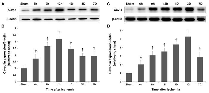 https://cdn.ncbi.nlm.nih.gov/pmc/blobs/c3bf/5356525/b53f00322733/oncotarget-07-67857-g002.jpg