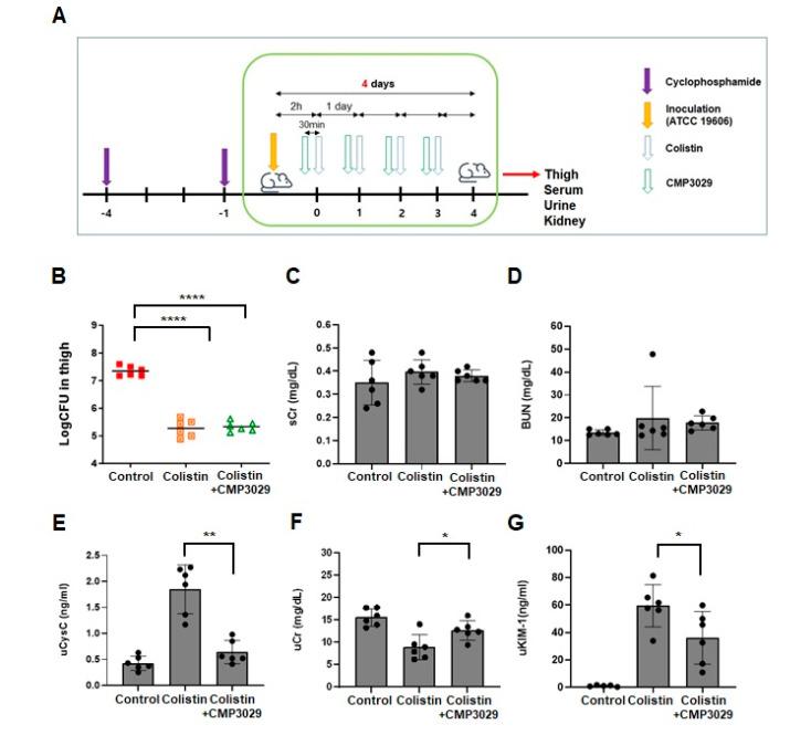 https://cdn.ncbi.nlm.nih.gov/pmc/blobs/c3c9/12108187/341b2922dccd/antibiotics-14-00445-g002a.jpg