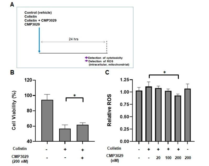 https://cdn.ncbi.nlm.nih.gov/pmc/blobs/c3c9/12108187/4a8b98d76662/antibiotics-14-00445-g001a.jpg