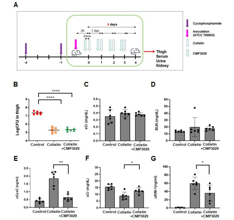 https://cdn.ncbi.nlm.nih.gov/pmc/blobs/c3c9/12108187/c39bb901986d/antibiotics-14-00445-g003a.jpg
