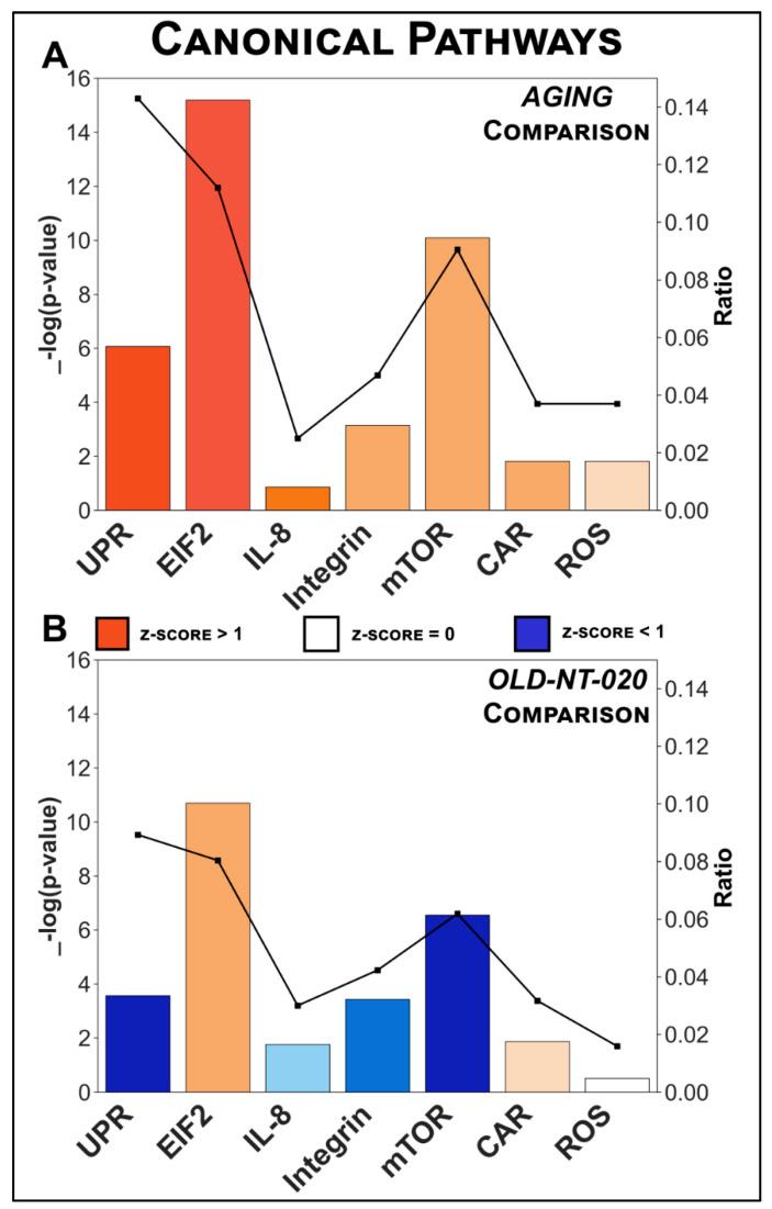 https://cdn.ncbi.nlm.nih.gov/pmc/blobs/c3cb/8232085/44e76cc6beca/ijms-22-06373-g003.jpg