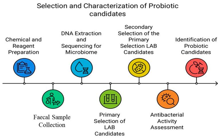 https://cdn.ncbi.nlm.nih.gov/pmc/blobs/c3ce/12114587/24a4a16fba17/microorganisms-13-01059-g001.jpg