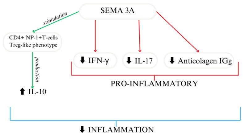 https://cdn.ncbi.nlm.nih.gov/pmc/blobs/c3df/11011349/54e2ee6c6b66/cells-13-00618-g003.jpg