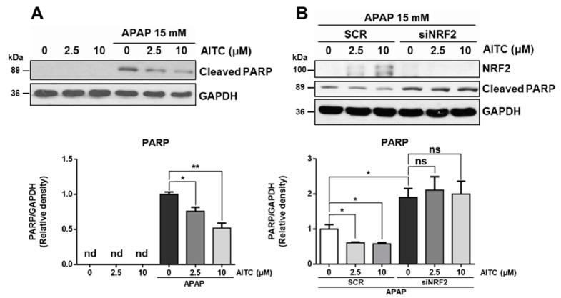 https://cdn.ncbi.nlm.nih.gov/pmc/blobs/c3e9/7700243/46d38c06d48b/nutrients-12-03585-g004.jpg