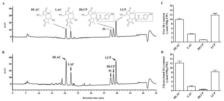 https://cdn.ncbi.nlm.nih.gov/pmc/blobs/c3ea/7760865/d30bee33b9bc/nutrients-12-03675-g001.jpg