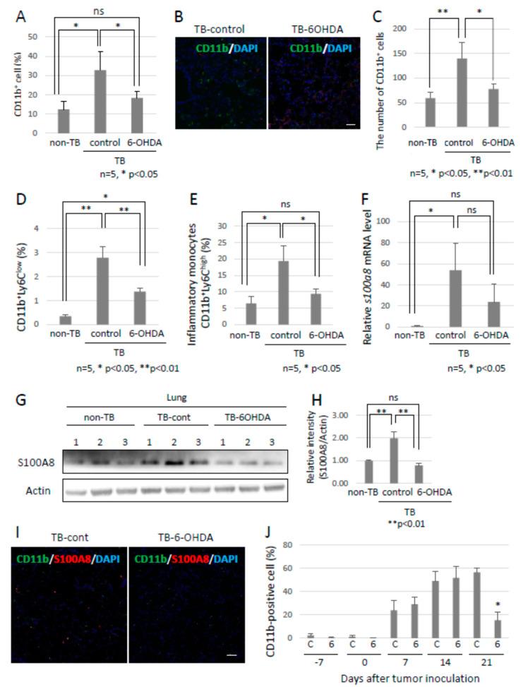 https://cdn.ncbi.nlm.nih.gov/pmc/blobs/c3f5/9501257/92e9ccec0d78/ijms-23-10652-g003.jpg