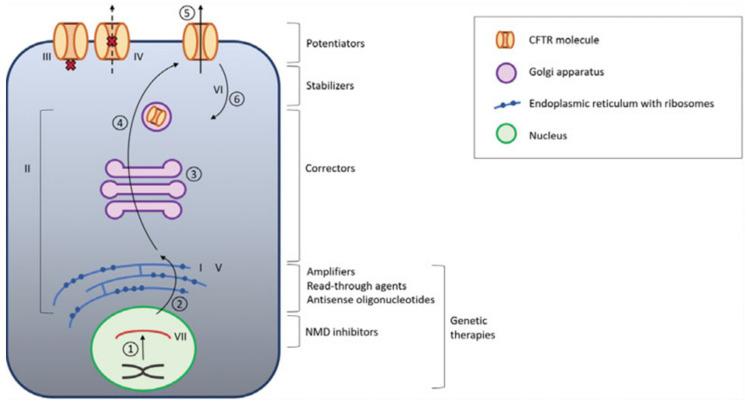 https://cdn.ncbi.nlm.nih.gov/pmc/blobs/c3fa/8144952/ef4f6c1422c9/antibiotics-10-00486-g003.jpg
