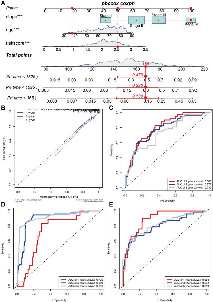 https://cdn.ncbi.nlm.nih.gov/pmc/blobs/c401/8542737/8a038f7fda13/CMAR-13-7989-g0003.jpg