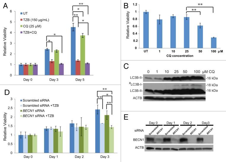 https://cdn.ncbi.nlm.nih.gov/pmc/blobs/c407/4091153/6ffc268d00d4/auto-10-662-g8.jpg