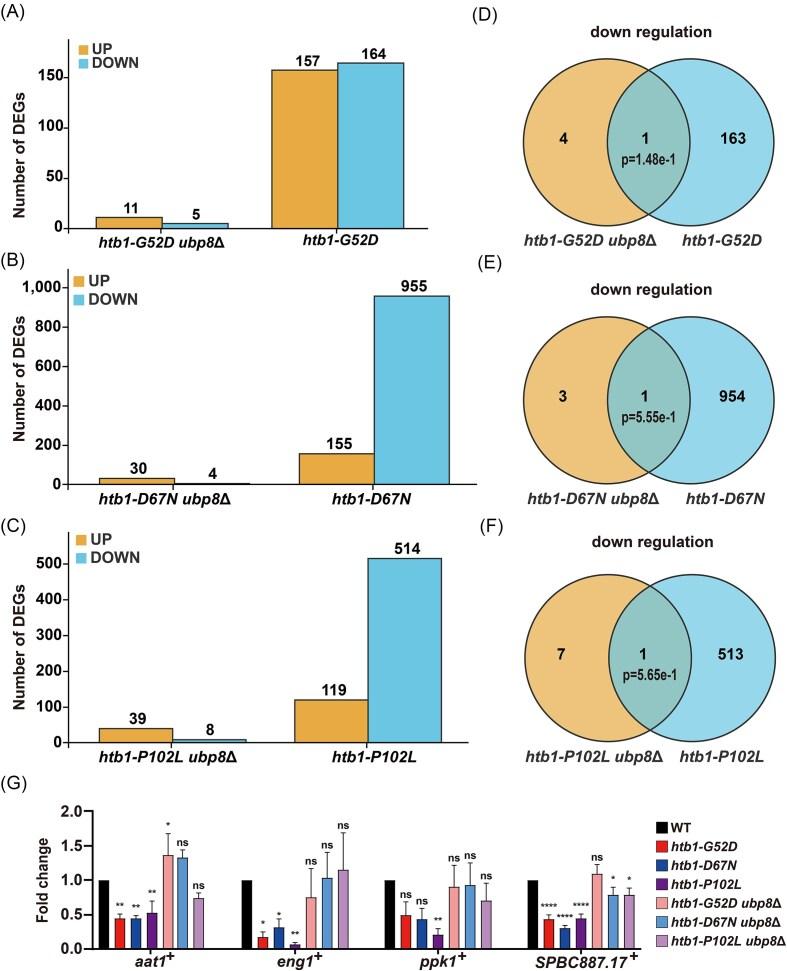 https://cdn.ncbi.nlm.nih.gov/pmc/blobs/c415/12128920/2c9dffb27927/foaf027fig5.jpg