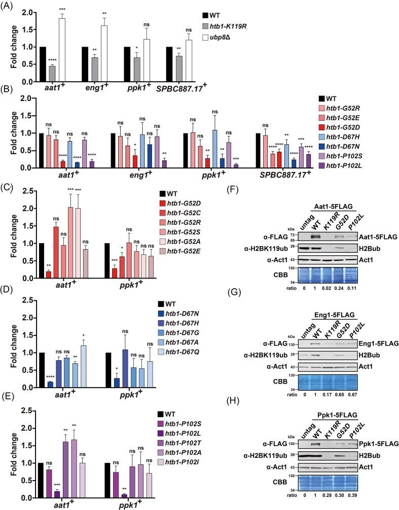 https://cdn.ncbi.nlm.nih.gov/pmc/blobs/c415/12128920/bfcf2ae69709/foaf027fig4.jpg
