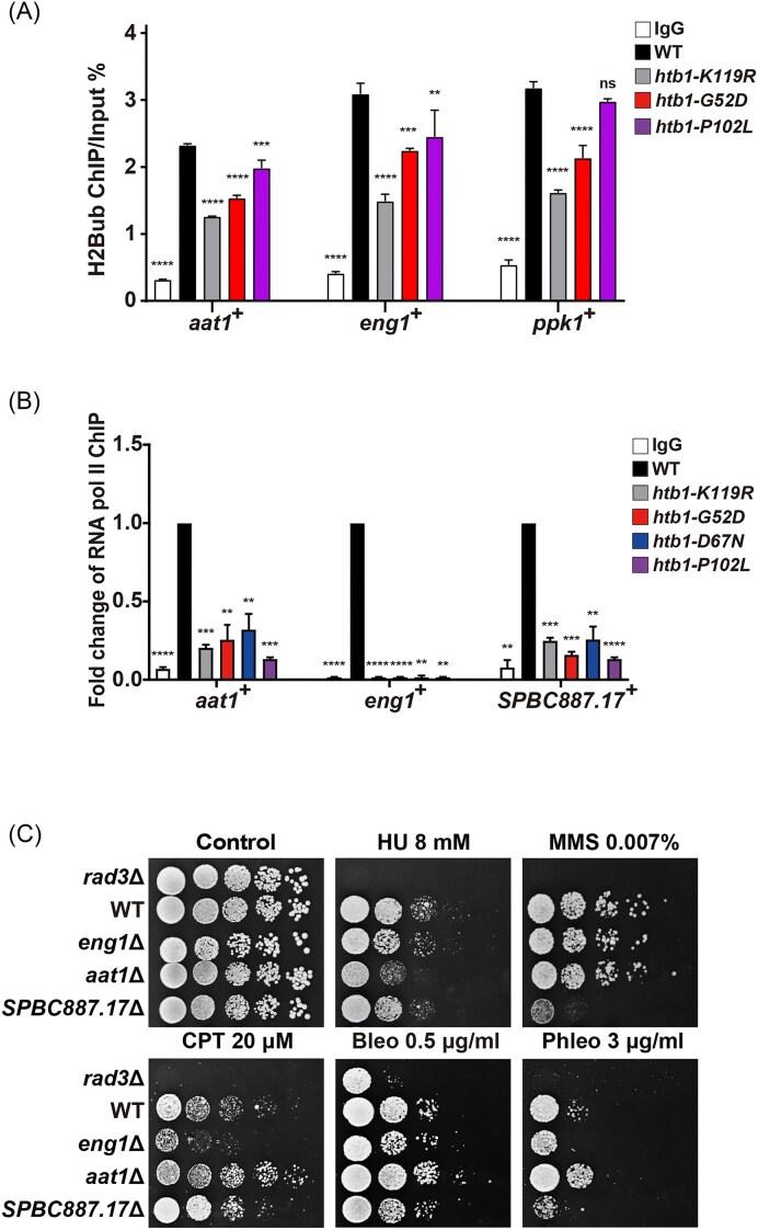 https://cdn.ncbi.nlm.nih.gov/pmc/blobs/c415/12128920/d2cea11091c3/foaf027fig6.jpg