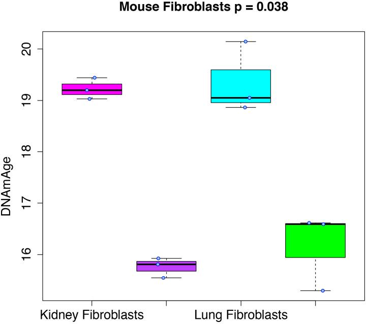 https://cdn.ncbi.nlm.nih.gov/pmc/blobs/c4b2/7661040/287240f75d5f/elife-59201-fig3.jpg