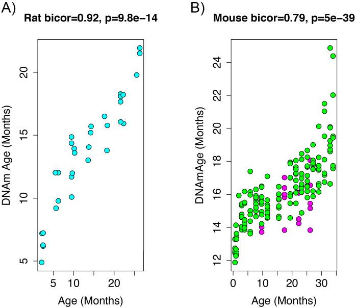 https://cdn.ncbi.nlm.nih.gov/pmc/blobs/c4b2/7661040/bae9ac73883f/elife-59201-fig2.jpg