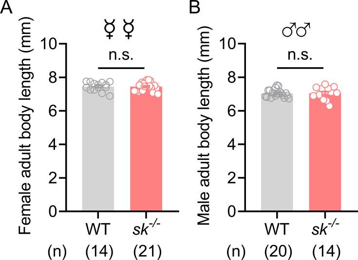 https://cdn.ncbi.nlm.nih.gov/pmc/blobs/c4ca/12048153/bf3c5f243023/elife-100870-fig2-figsupp4.jpg