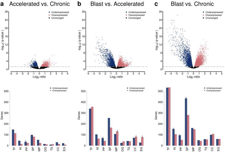 https://cdn.ncbi.nlm.nih.gov/pmc/blobs/c4cd/8750437/1f1e728ad94c/cancers-14-00256-g002.jpg