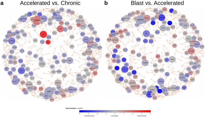 https://cdn.ncbi.nlm.nih.gov/pmc/blobs/c4cd/8750437/85cf2dac3c99/cancers-14-00256-g005.jpg
