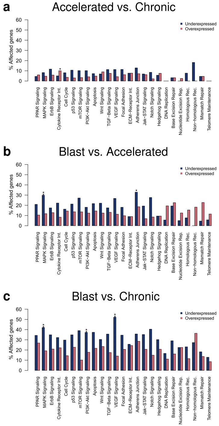 https://cdn.ncbi.nlm.nih.gov/pmc/blobs/c4cd/8750437/b3bca1963518/cancers-14-00256-g003.jpg